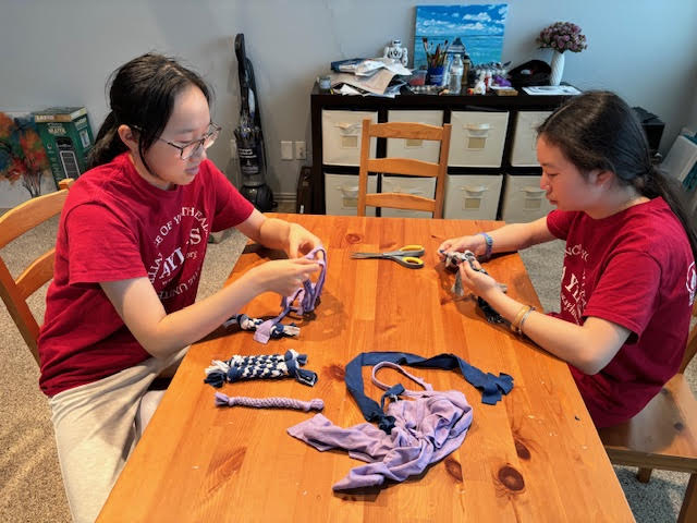 Hosted Pet Toy Making and Donation Event For Cats and Dogs at the Animal Shelter on September 7th&nbsp;2024