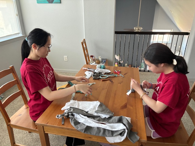 Pet Toy Making Event For the Animal Shelter on September 28th&nbsp;2024