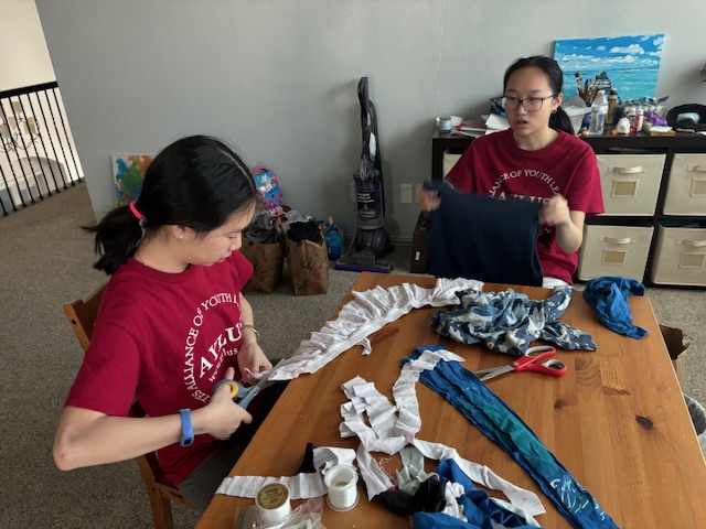 Frisco & Plano Branch Prepared Pet Toy Making Kits on November 1st&nbsp;2024