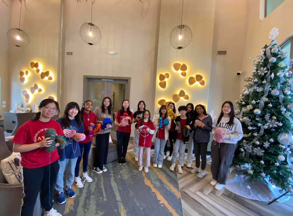 AYLUS Frisco & Plano Branch Crochet Hats For Loops For Love Project on December 8th&nbsp;2024