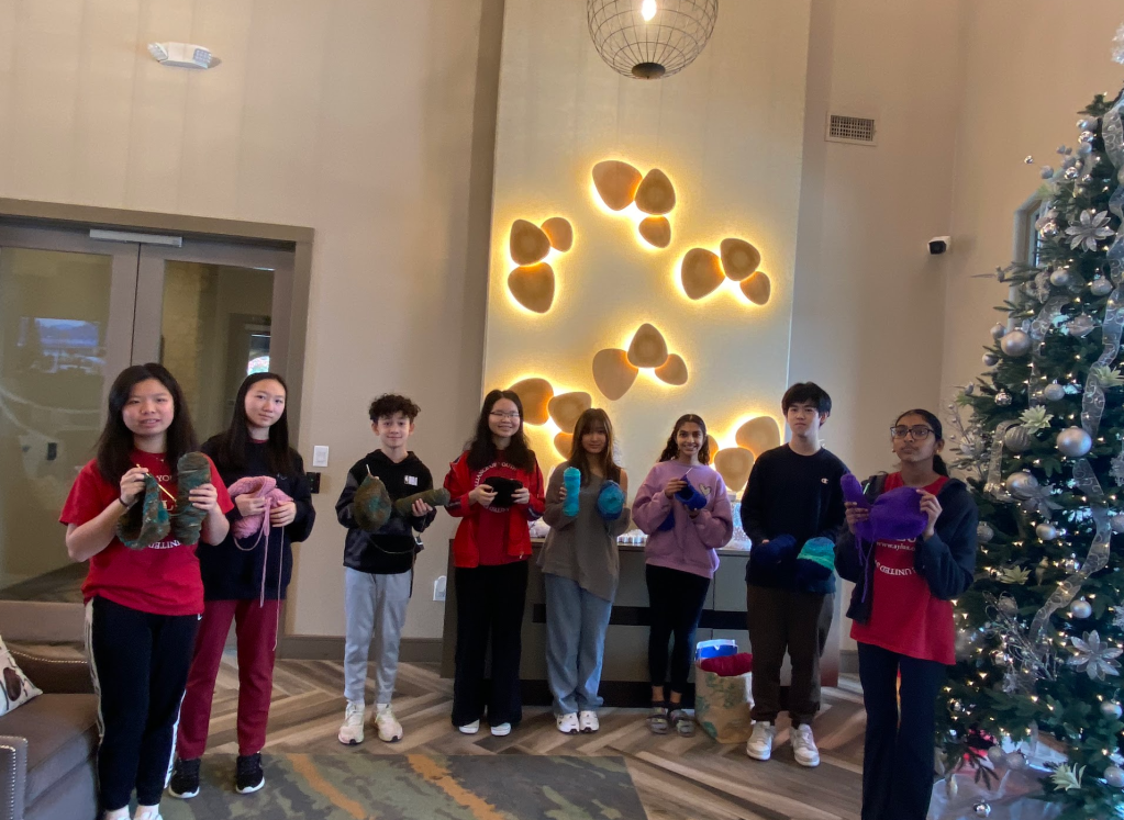 AYLUS Frisco & Plano Branch Crochet Hats For Loops For Love Project on December 15th&nbsp;2024