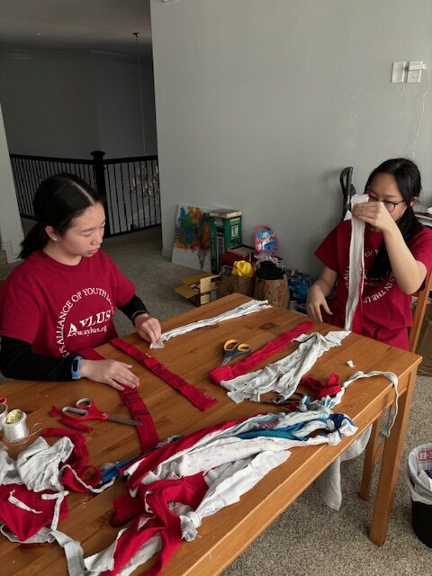 Frisco & Plano Branch Prepared Pet Toy Making Kits on December 7th 2024