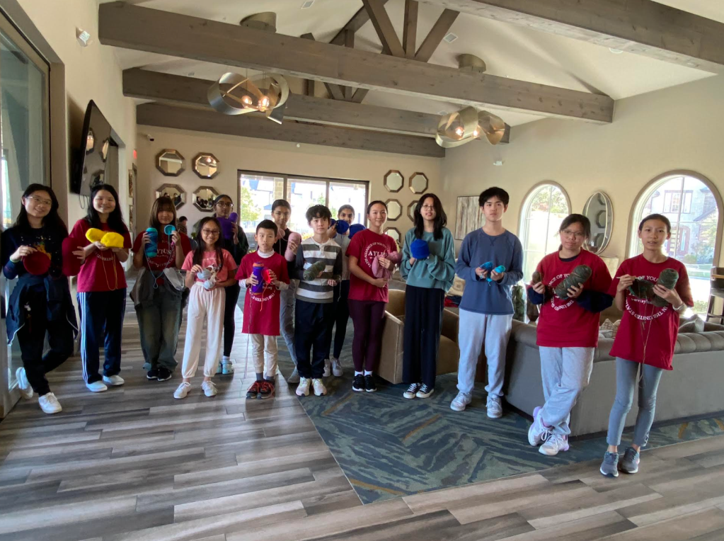 AYLUS Frisco & Plano Branch Crochet Hats For Loops For Love Project on November 24th&nbsp;2024