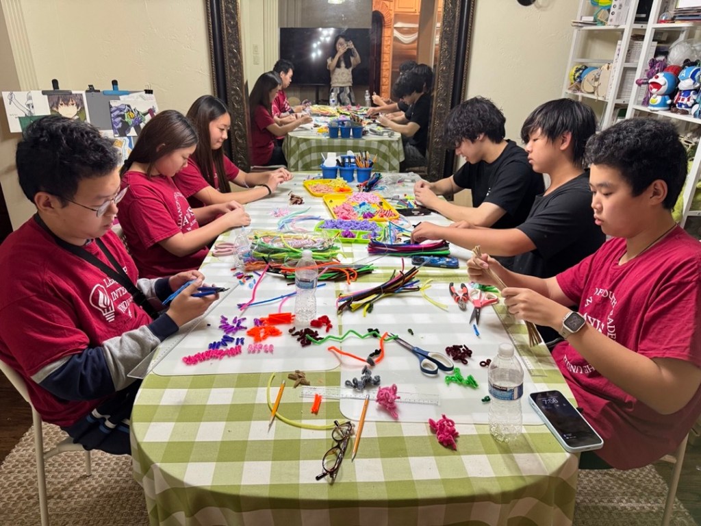 Frisco & Plano Branch Arts in Action #19 – Pipe Cleaner Event&nbsp;11/15