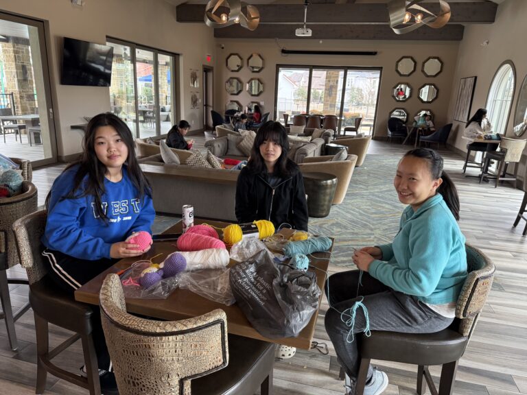 AYLUS Frisco & Plano Branch Crochet For Loops For Love Project on ...